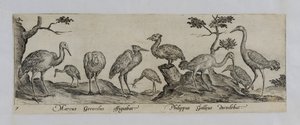 Old Master Engraving by Marcus Gheeraerts